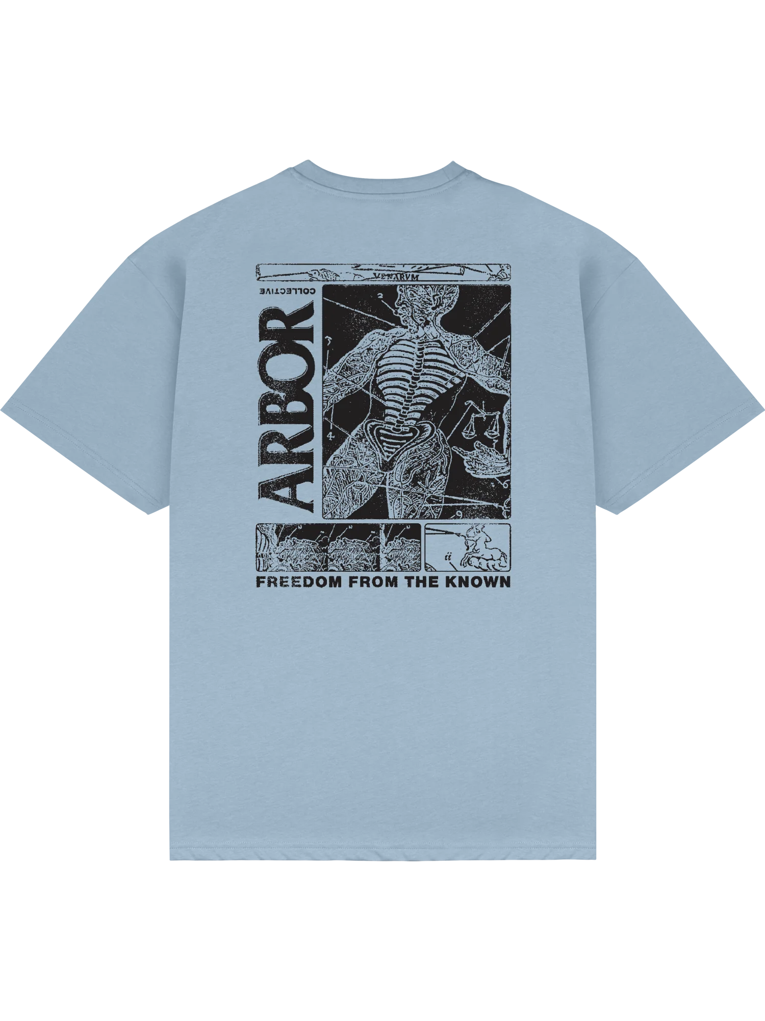 Anatomy T-Shirt - Sky Blue