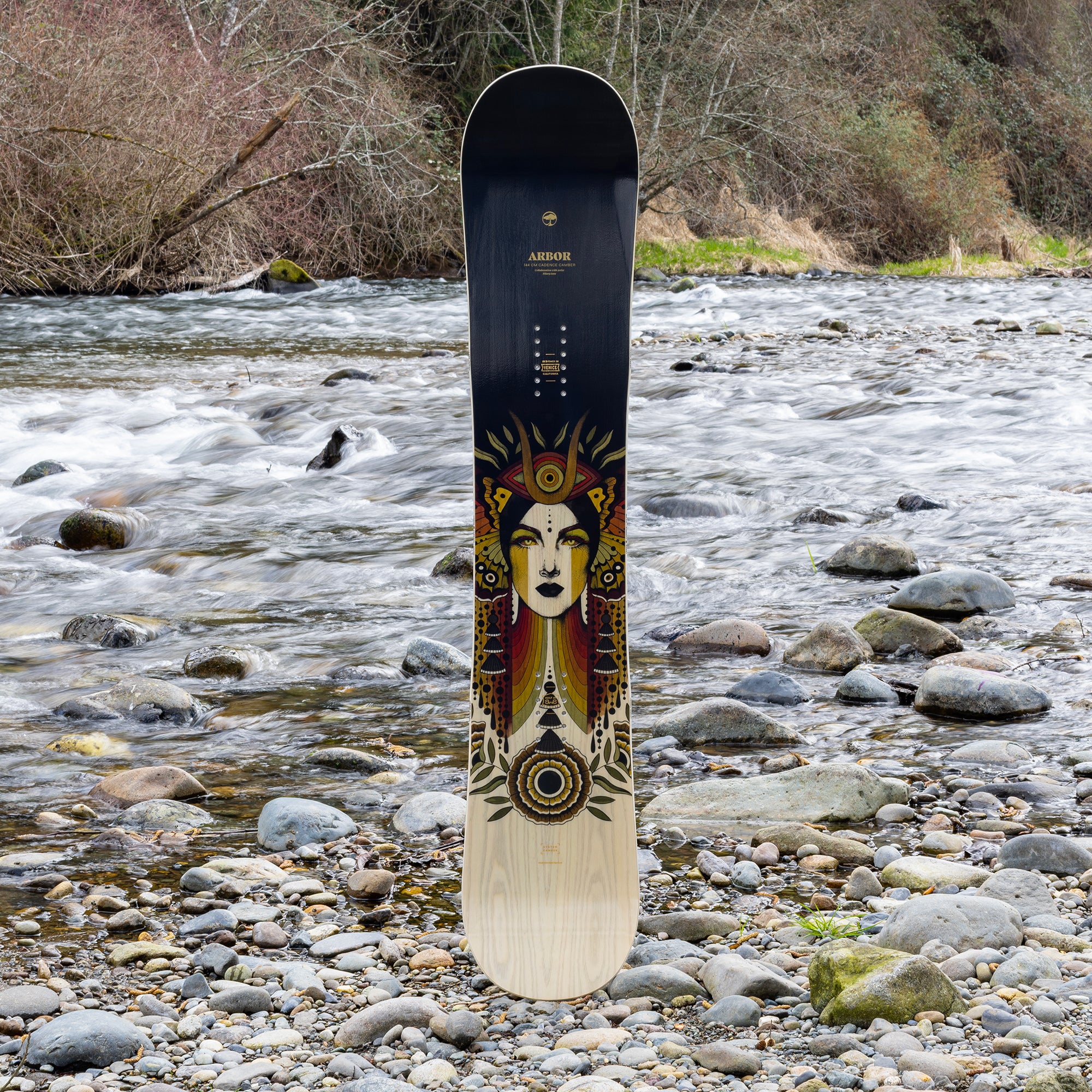 Cadence Camber - Image 5