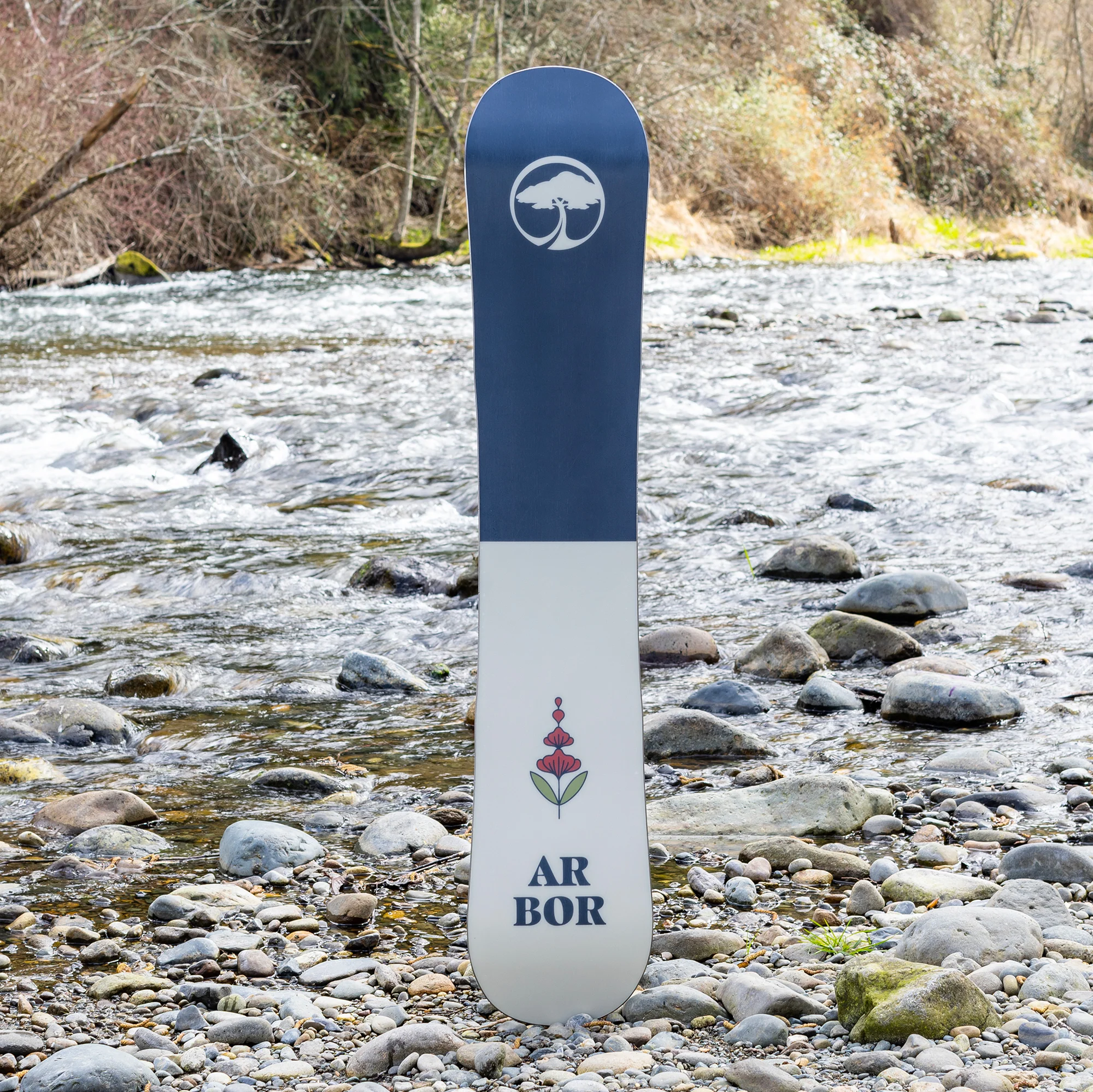 Cadence Camber - Image 6