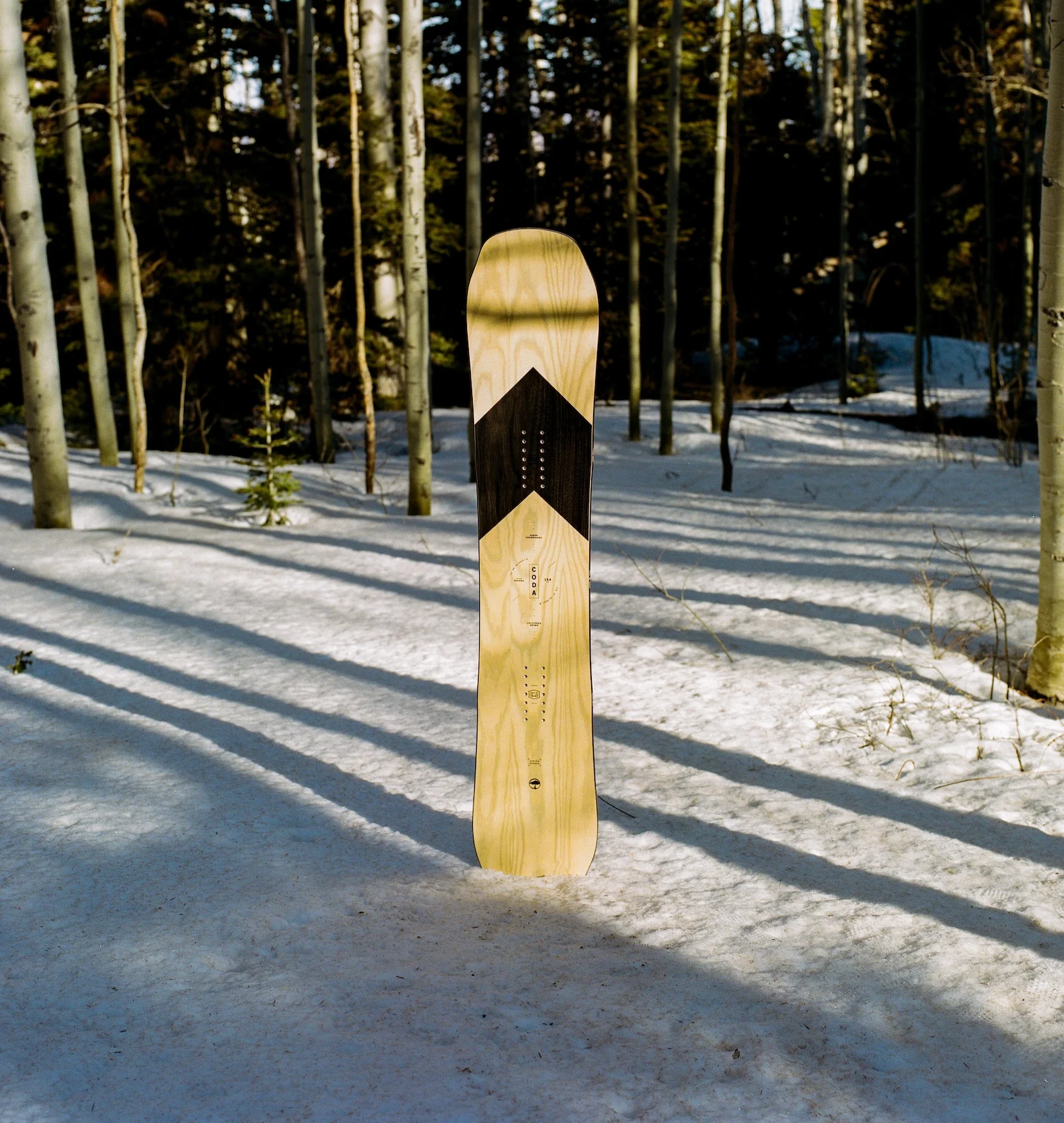 Coda Camber - Image 2