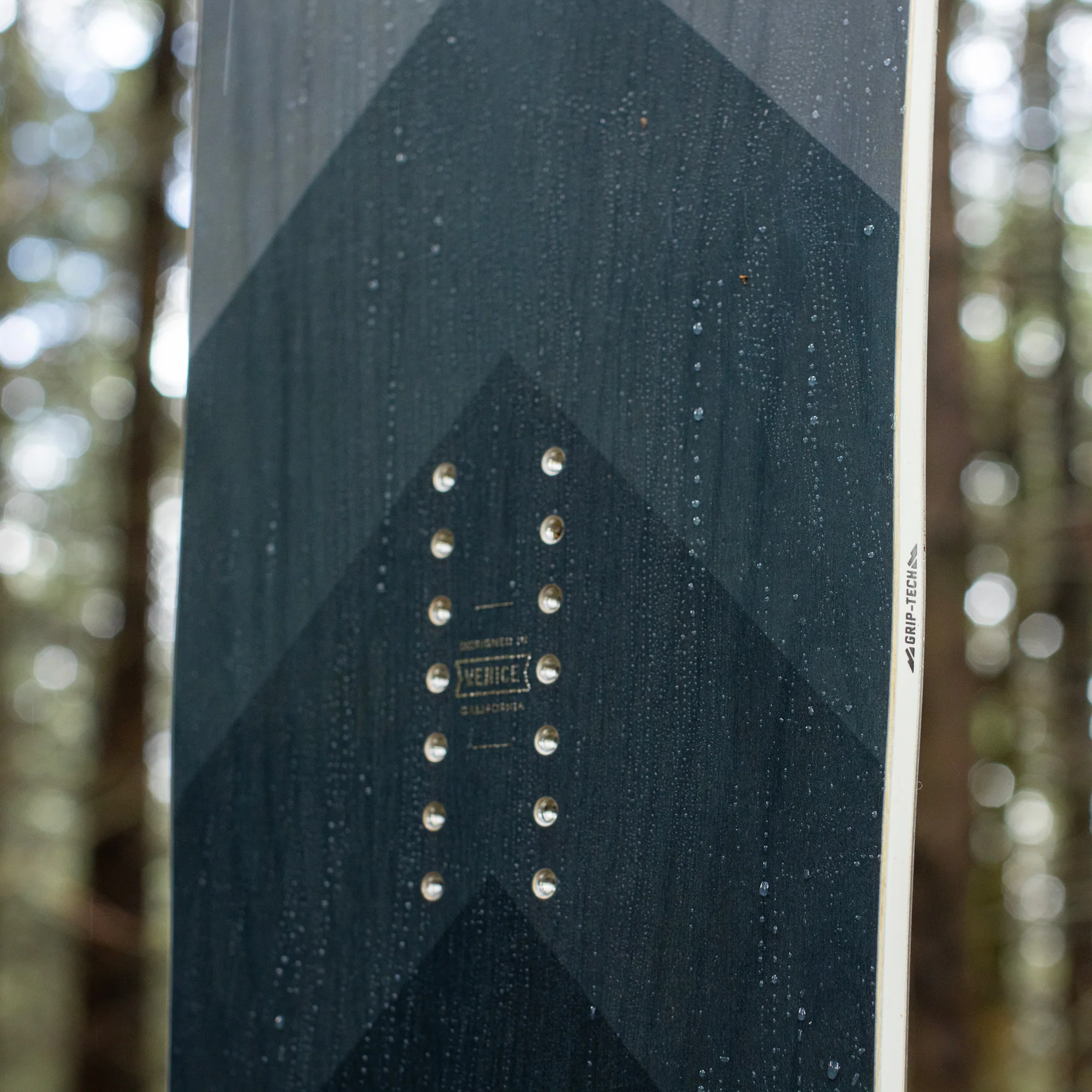 Coda Camber - Image 7