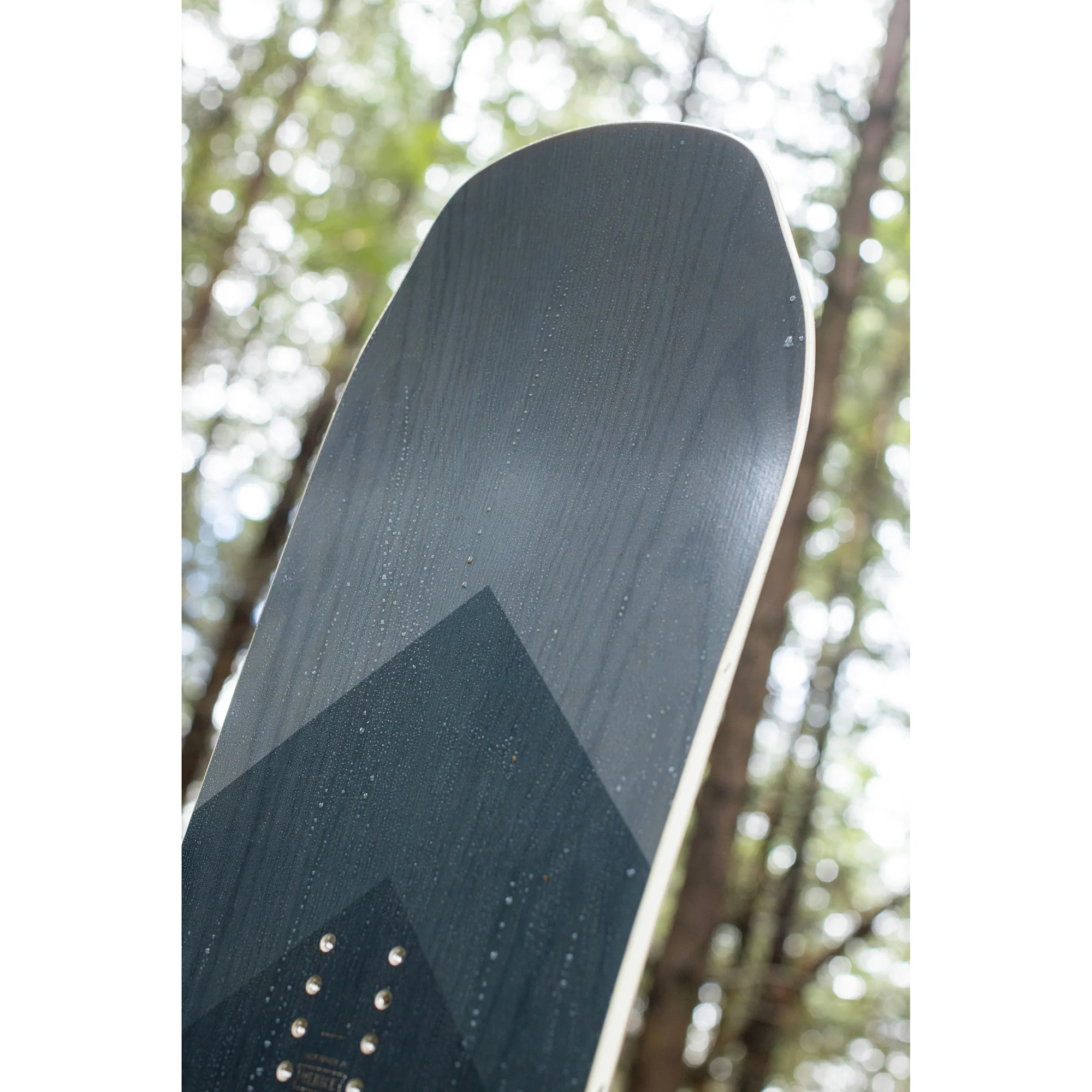 Coda Camber - Image 8