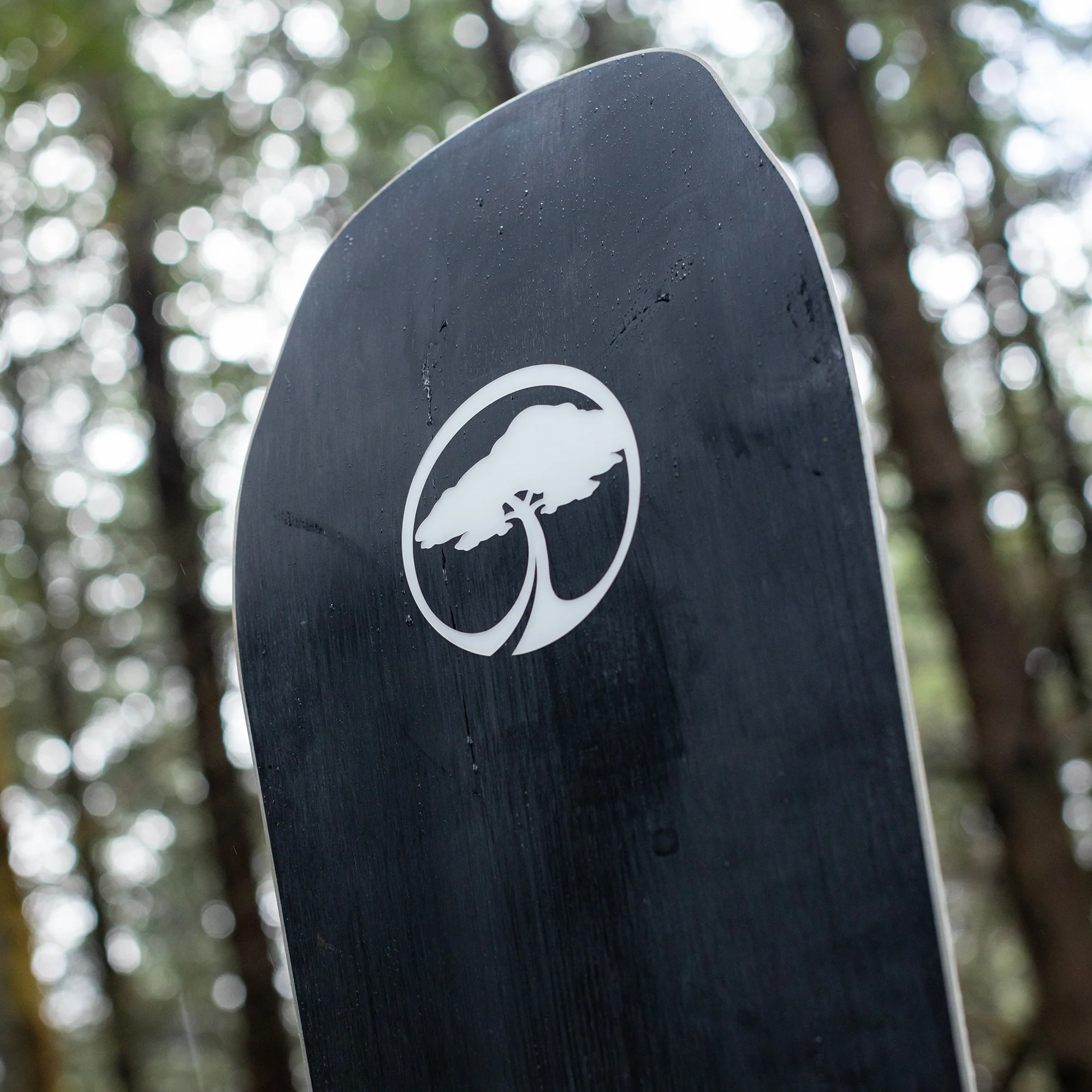 Coda Camber - Image 9