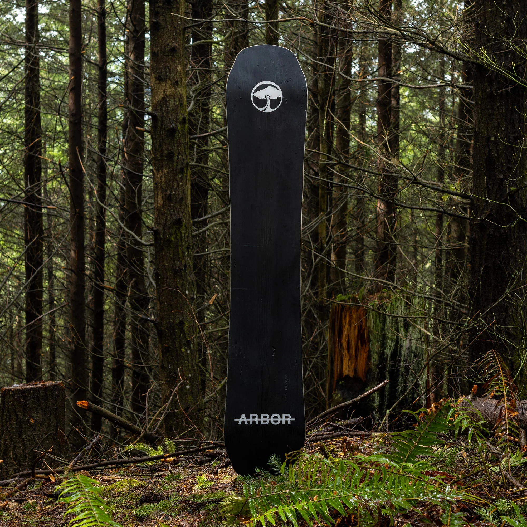 Coda Rocker (Factory Second) - Image 6
