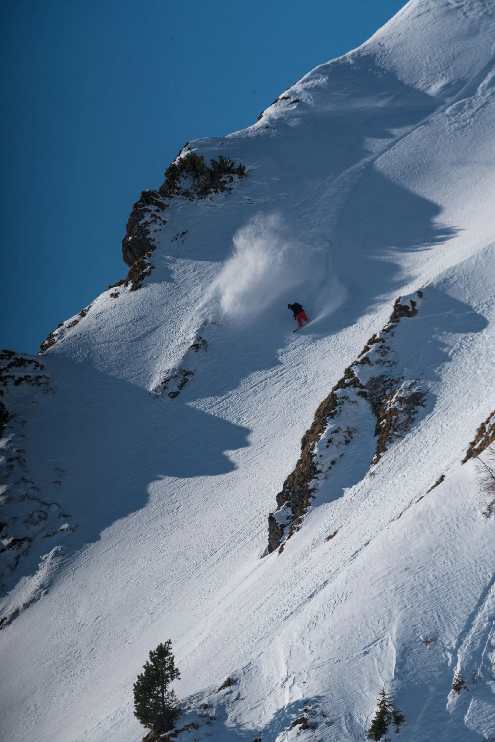 Crosscut Camber - Image 7