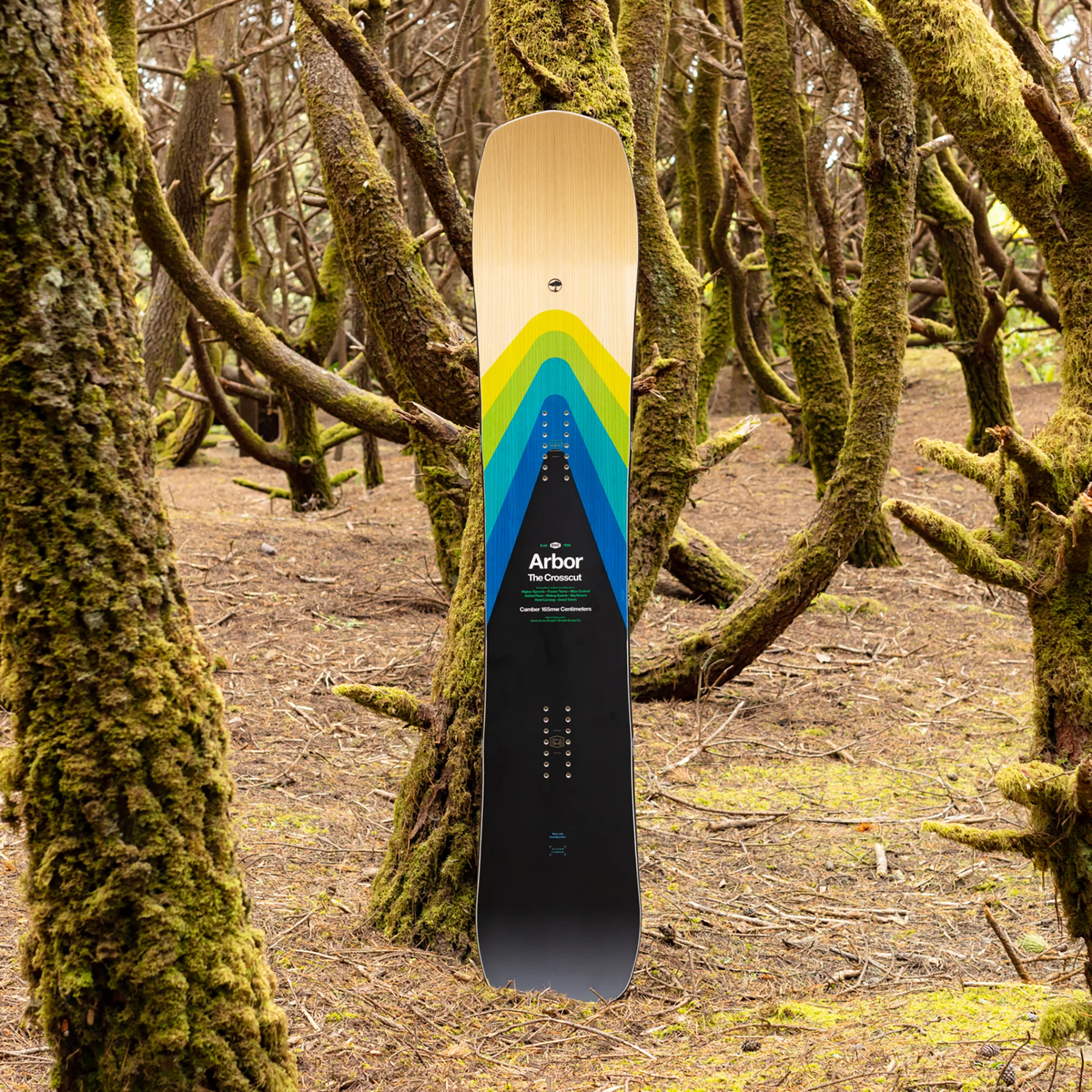 Crosscut Rocker - Image 5