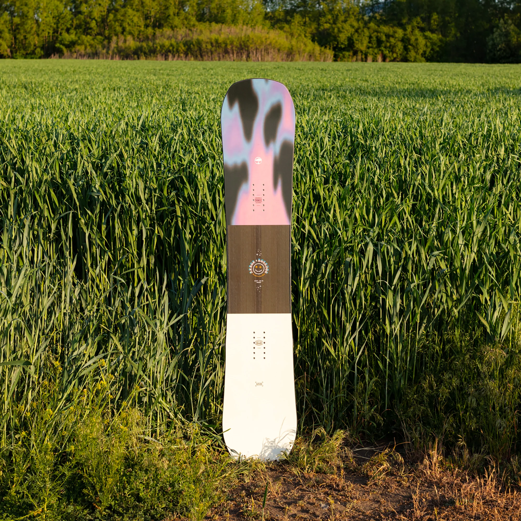 Draft Camber - Image 2