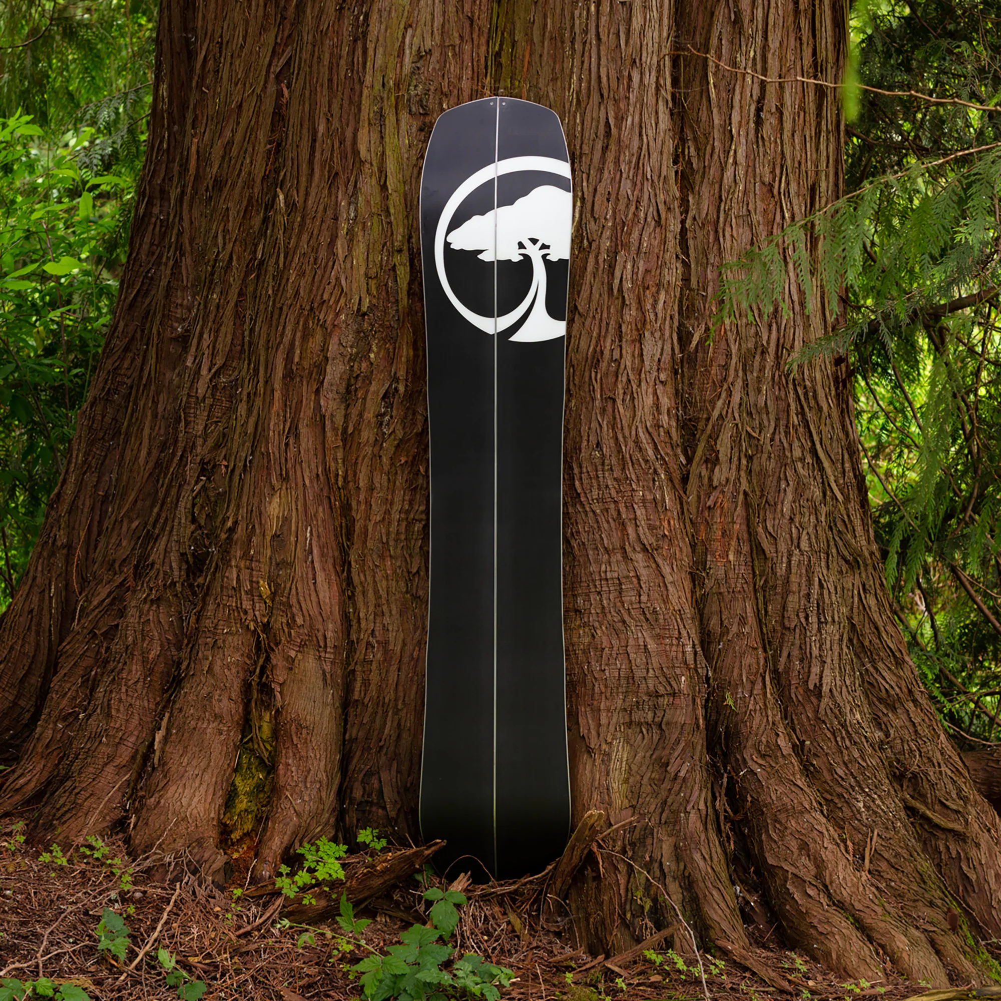 Landmark Splitboard Rocker - Image 8