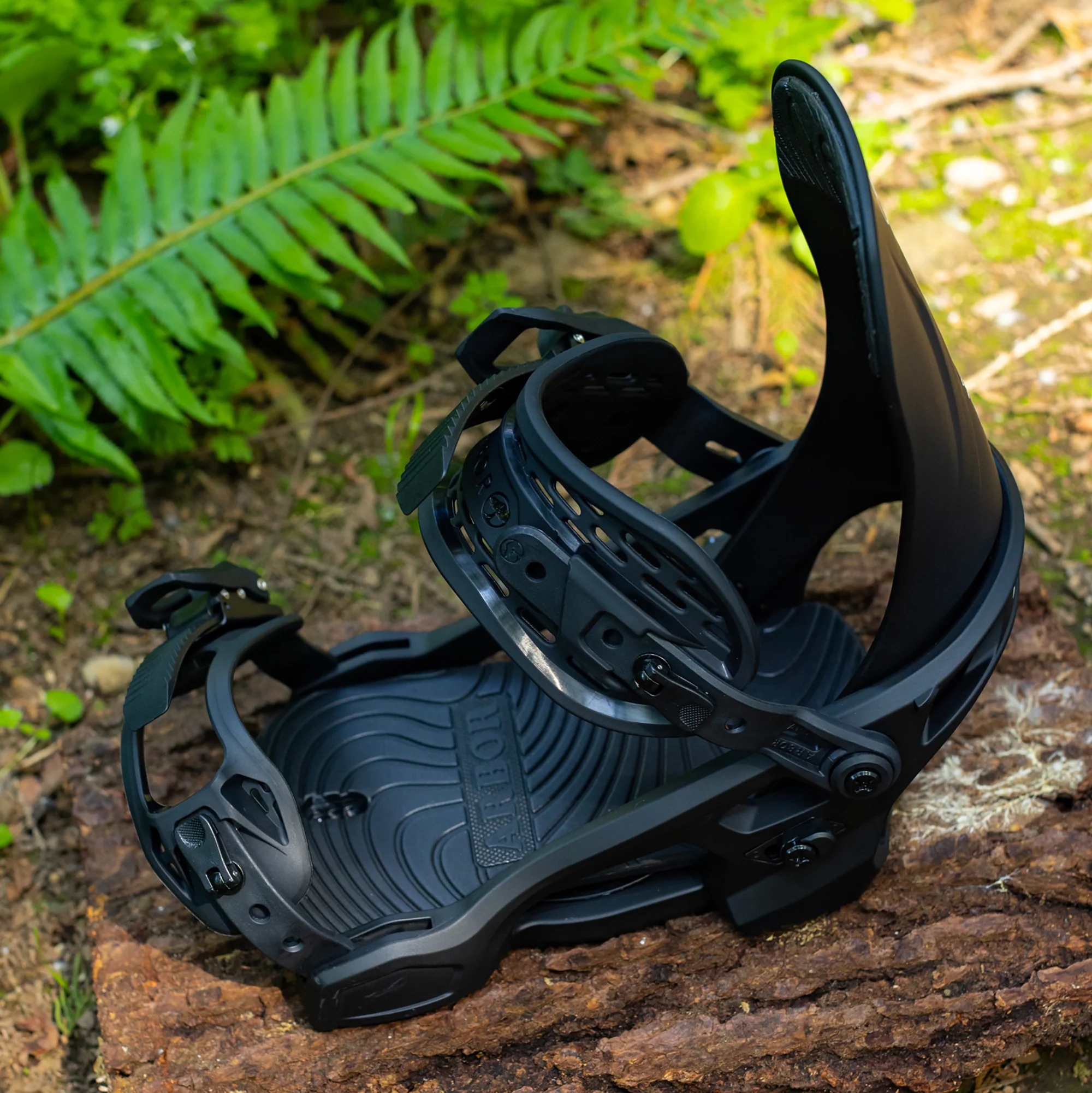 Sapling Black - Image 6