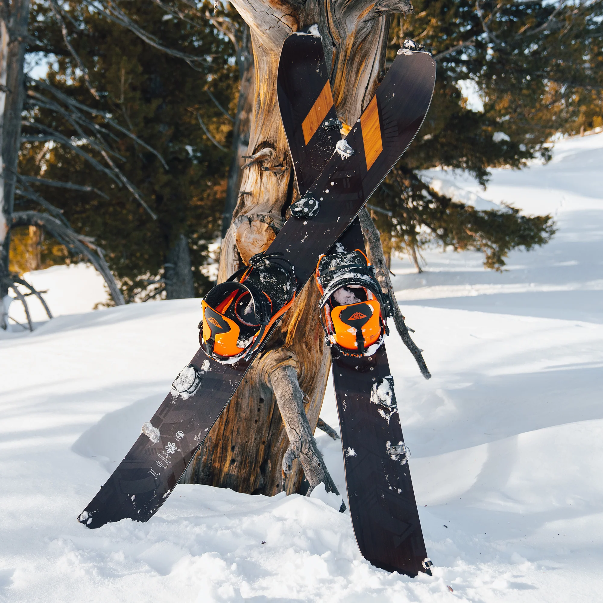 Satori Splitboard Camber - Image 6