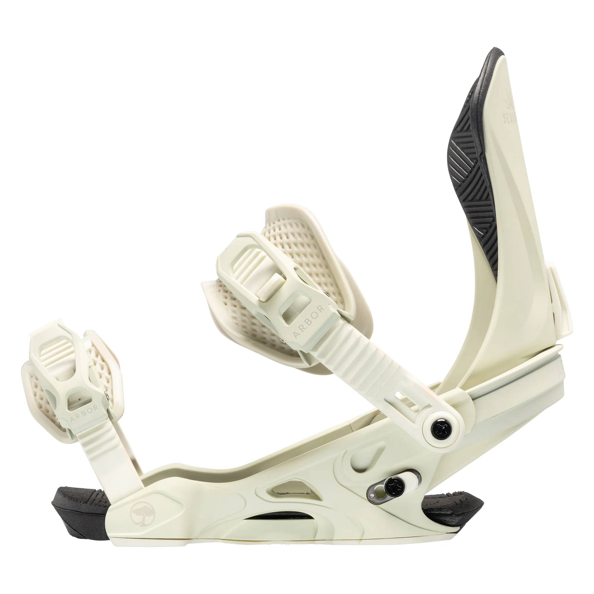 Sequoia Bone - Image 4