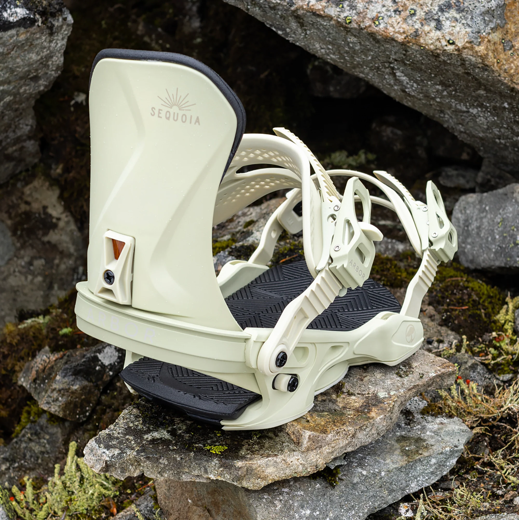 Sequoia Bone - Image 5