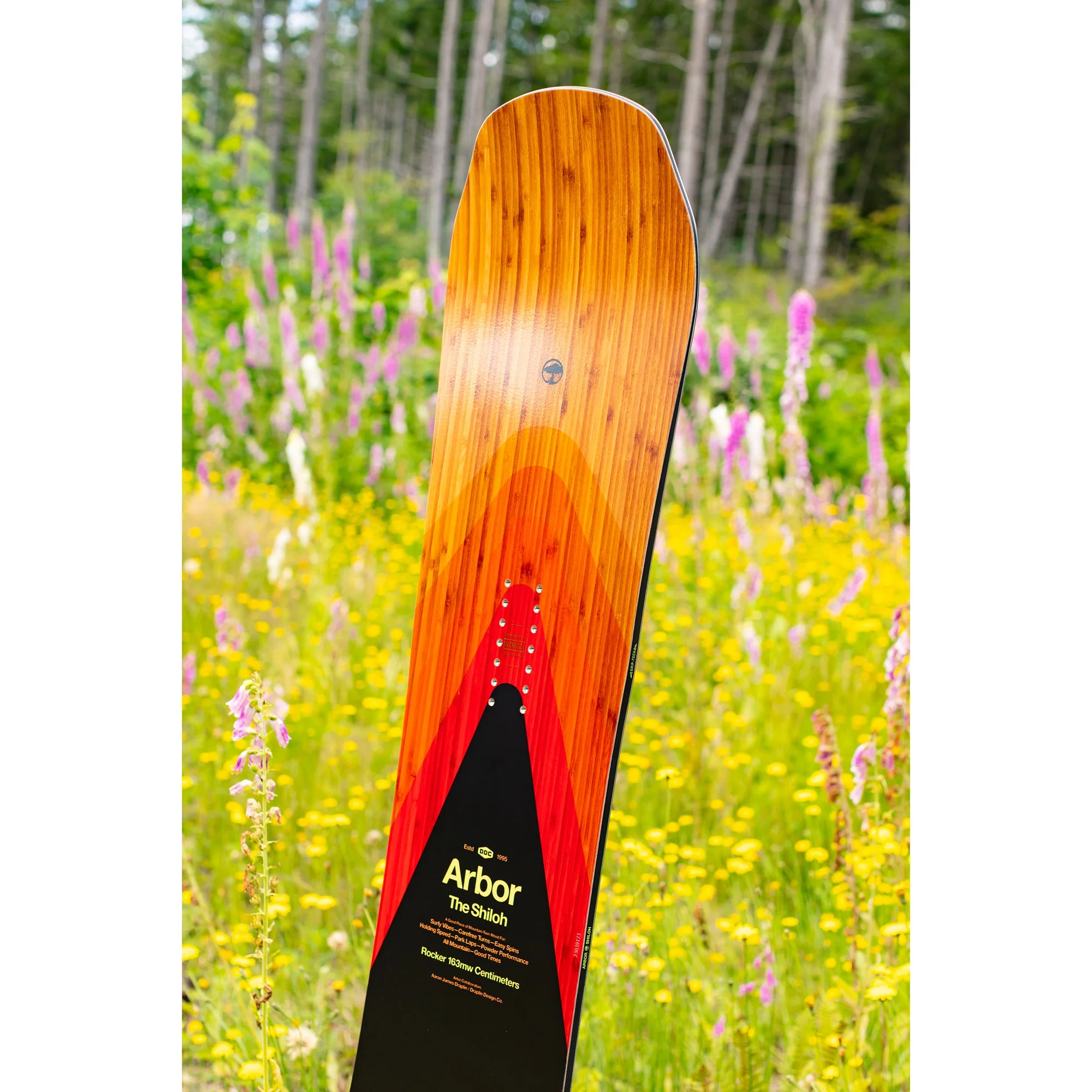 Shiloh Rocker (Factory Second) - Image 8