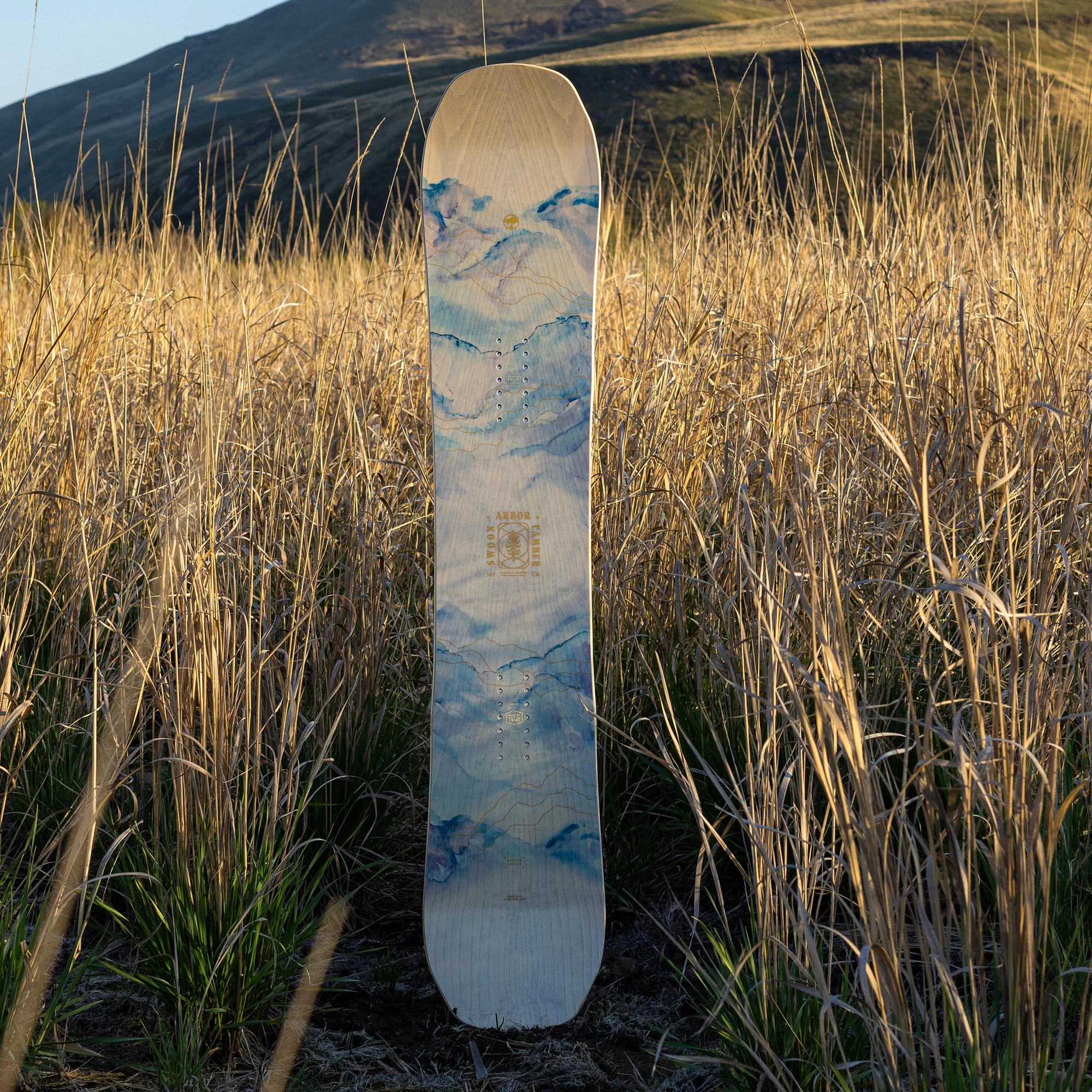 Swoon Camber - Image 5